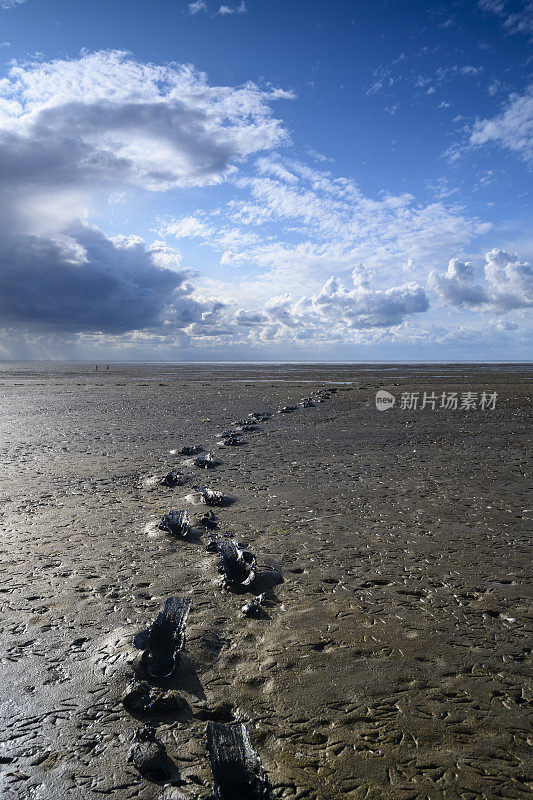 在荷兰北部带有潮汐沙滩的瓦登海自然保护区“de Wadden”，在一片空旷的景观中，人们在泥泞中行走